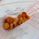 (주)젤리버스 | [축제] #14. 2026 광양 매화축제 주말 방문 후기 및 축제 정보 + 매실 막걸리