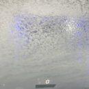 양덕주유소 이미지