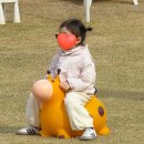 모동모동 | 대구 근교 아이랑 가볼만한곳｜상주 모동목장 양먹이체험 보더콜리 양몰이 후기