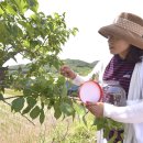 입암1리 이미지