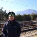 지탄농장 이미지