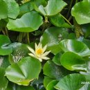 서천생태공원 이미지