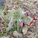 대구광역시 북구 어울아트센터 이미지