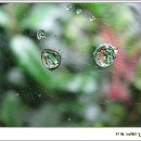 바람언덕 이미지