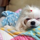 명수농장 이미지