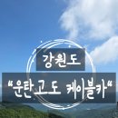 정선아기동물농장 | 강원도 여행 하이원 운탄고도케이블카 구름아래 동물농장 먹이주기체험