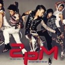 조선한우 이미지