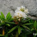 성*경 - 미추홀구 인주대로320번길 24 | 성*경