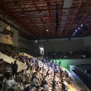 시실리민박 | 일상) 190811 제주도 여름휴가 : 새왓댁Stay / 독채민박 / 시골집에서 살아보기 / 서귀포 갬성숙소