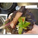 섬데이 제주 이미지