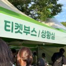 반딧불이 | 영암) 반딧불이 축제 첫날 후기