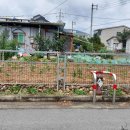 세림카센타 이미지