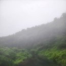 안개비 | [제주 서귀포시 색달동] 제주 원데이클래스 바다요가 다나요가 솔직후기