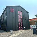 조용한 흥분색 이미지