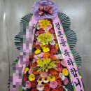 하이디프라자 이미지