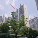 케어팜동물병원 이미지
