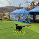 꾸어바666 이미지