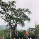 성태 태양광발전소 이미지