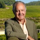 안티노리 이미지