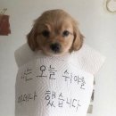 생활요가 이미지