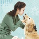 모아동물병원 이미지