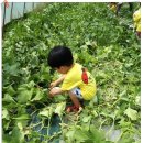 효동농장 이미지