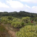 여송농장 이미지