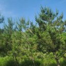 초원산장 이미지