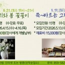꽃꽂이(야간) 티스토리