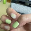 다슬네일