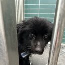 오대카센타 이미지