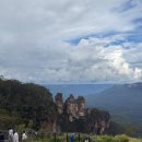 블루마운틴 이미지