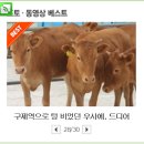 우사 이미지