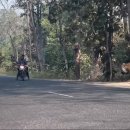 (주)마하 이미지