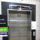양지편2로 네이버블로그
