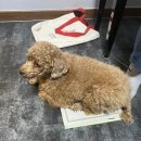 나투어뮤직 이미지