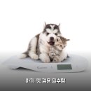 KS클린에너지 | 아이워너 유아 체중계 KS-BM620 아기 반려동물 내돈내산 꼼꼼 후기