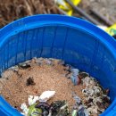 오공농장 이미지