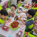 오즈태권도2관 이미지