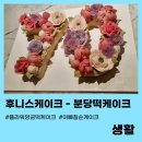 후니스 이미지