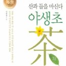야생초