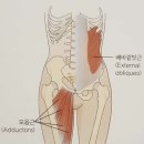 세움시스템