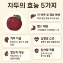 미라클건강센터 이미지