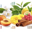 딜라이트 이미지