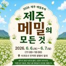 밀양숲속마을영농조합법인 | 제주 6월 축제 2026 제주메밀축제 "제주메밀의 모든 것" 서귀포 광평리에서 열린다!