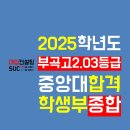 안산 입시컨설팅 : 부곡고 2.03등급 중앙대 학생부종합 합격 후기