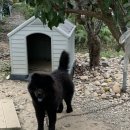 진주수진정원 이미지