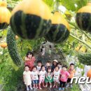 여주-0903 이미지