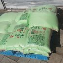 다산나정 이미지