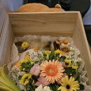 예산 위드엔젤 이미지